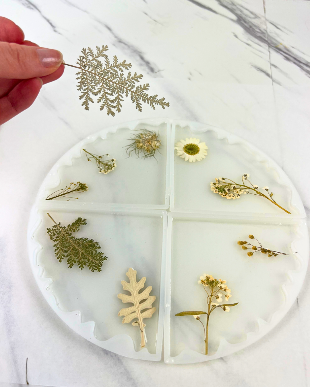 DIY Wavy Edge Floral Resin Coaster Kit