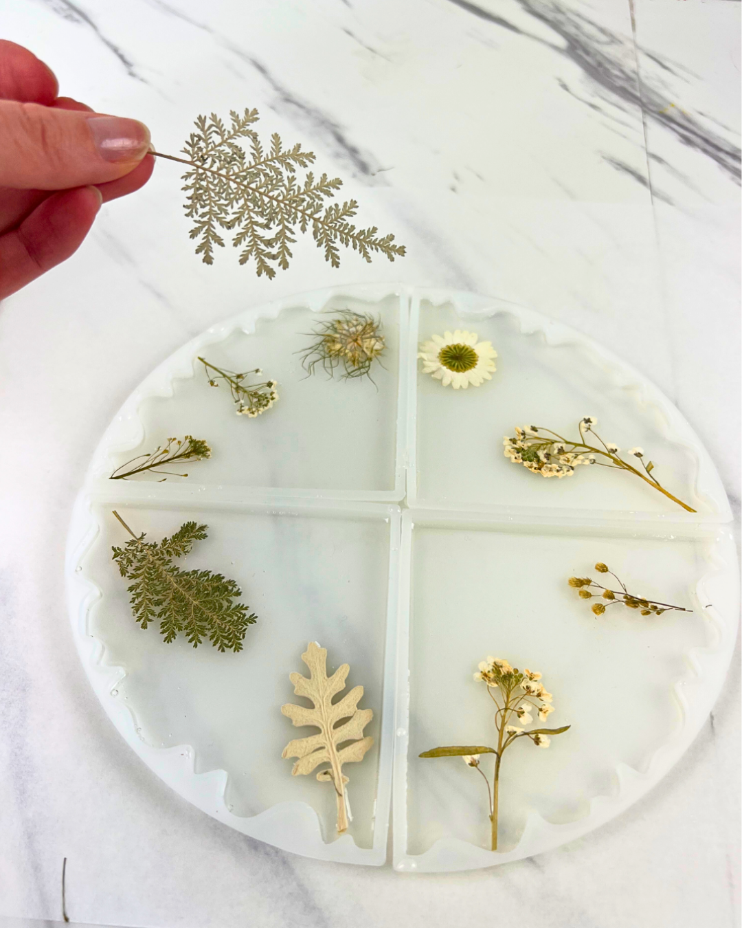 DIY Wavy Edge Floral Resin Coaster Kit – Paper Clouds