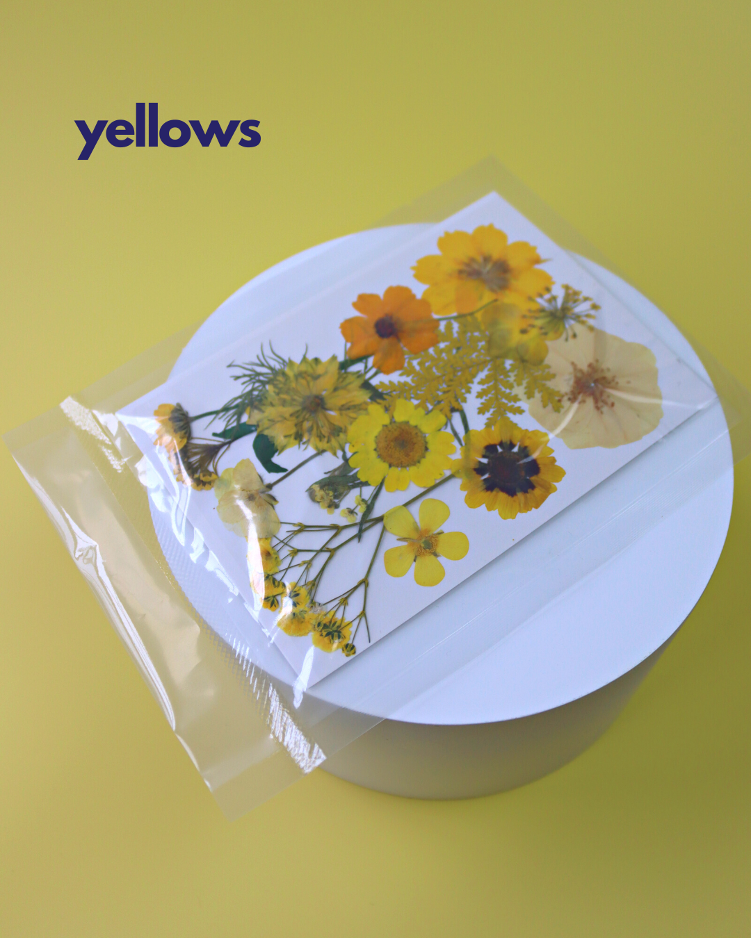 DIY Floral Resin Trinket Tray Kit