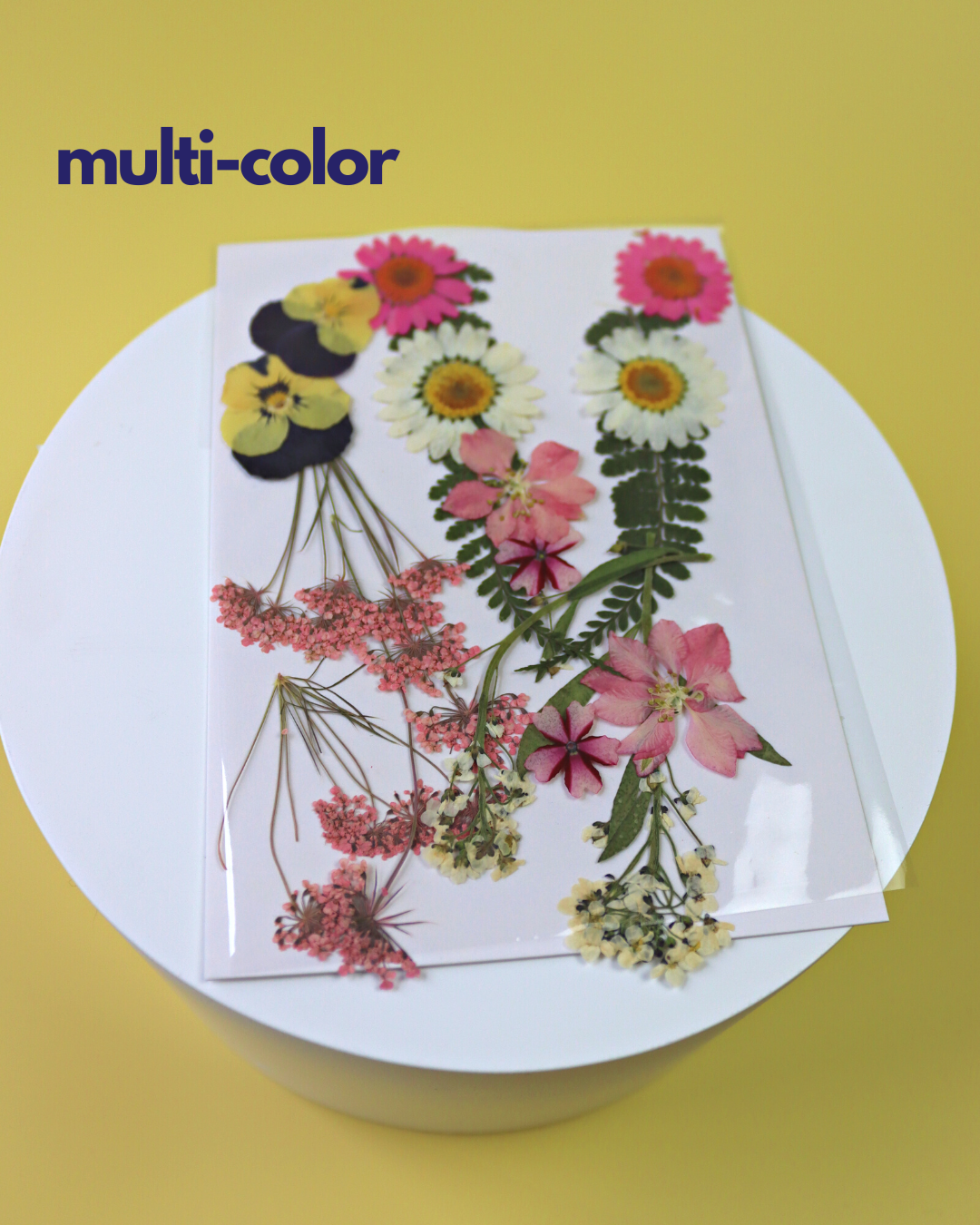~HOLIDAY EDITION~ DIY Floral Resin Coaster Kit (4 Thick, Square-Shaped  Coasters)